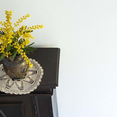 פירנצה La Villa Nei Fiori מראה חיצוני תמונה
