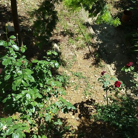 פירנצה La Villa Nei Fiori מראה חיצוני תמונה