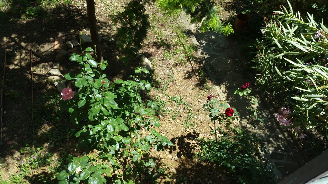 פירנצה La Villa Nei Fiori מראה חיצוני תמונה