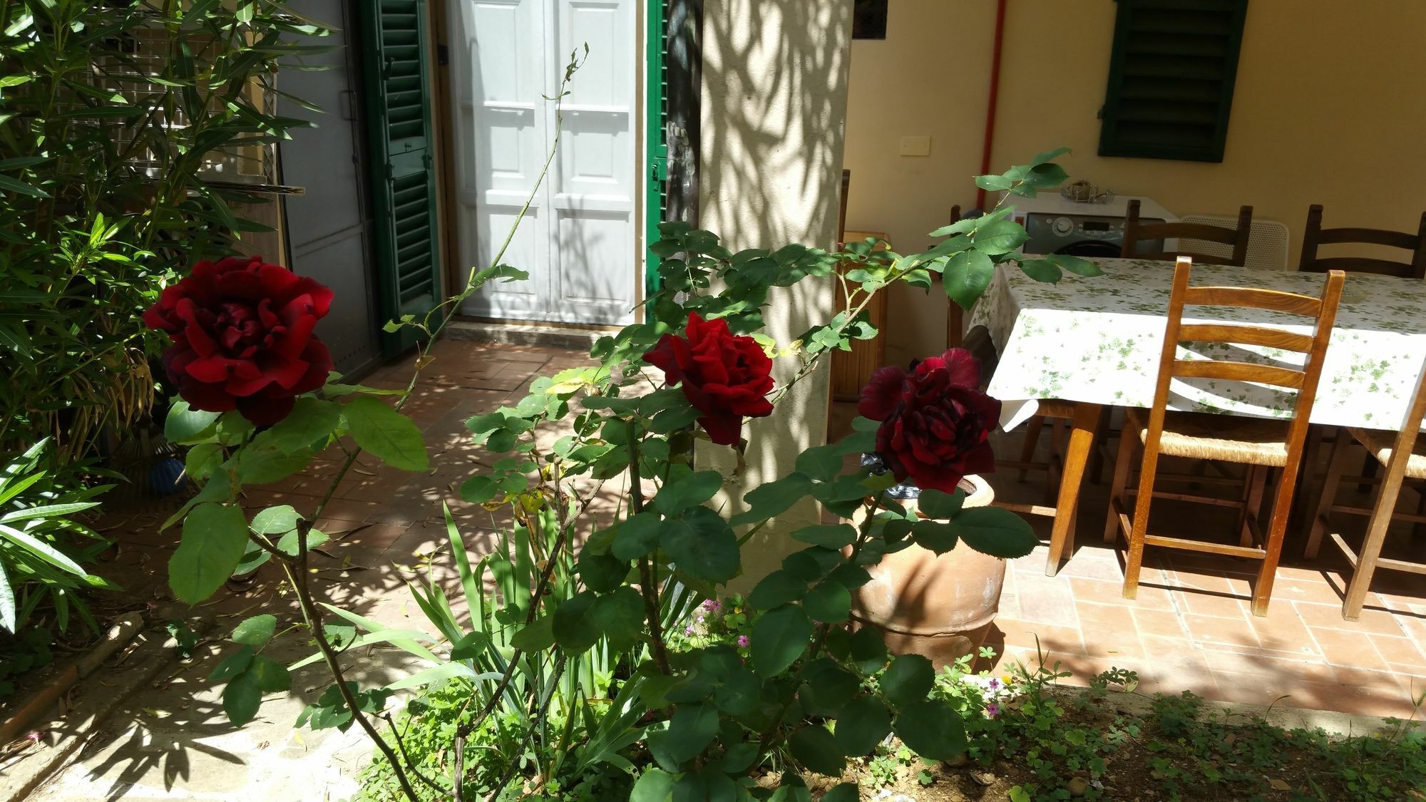 פירנצה La Villa Nei Fiori מראה חיצוני תמונה